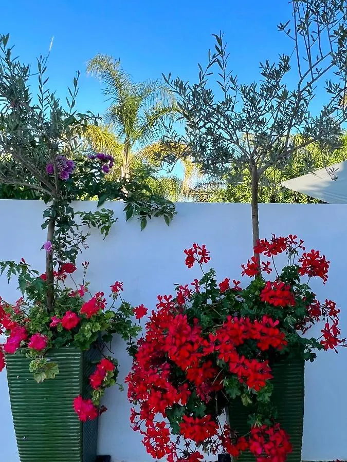 Palm View Guesthouse, Adults Only Luz Portogallo