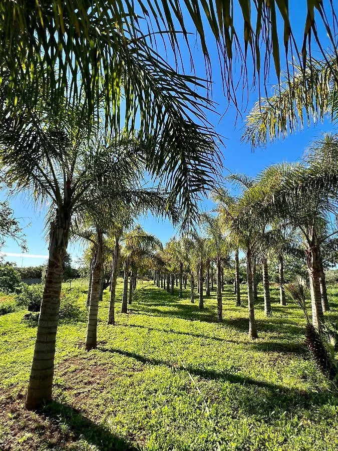 Bed & Breakfast Palm View Guesthouse, Adults Only Luz