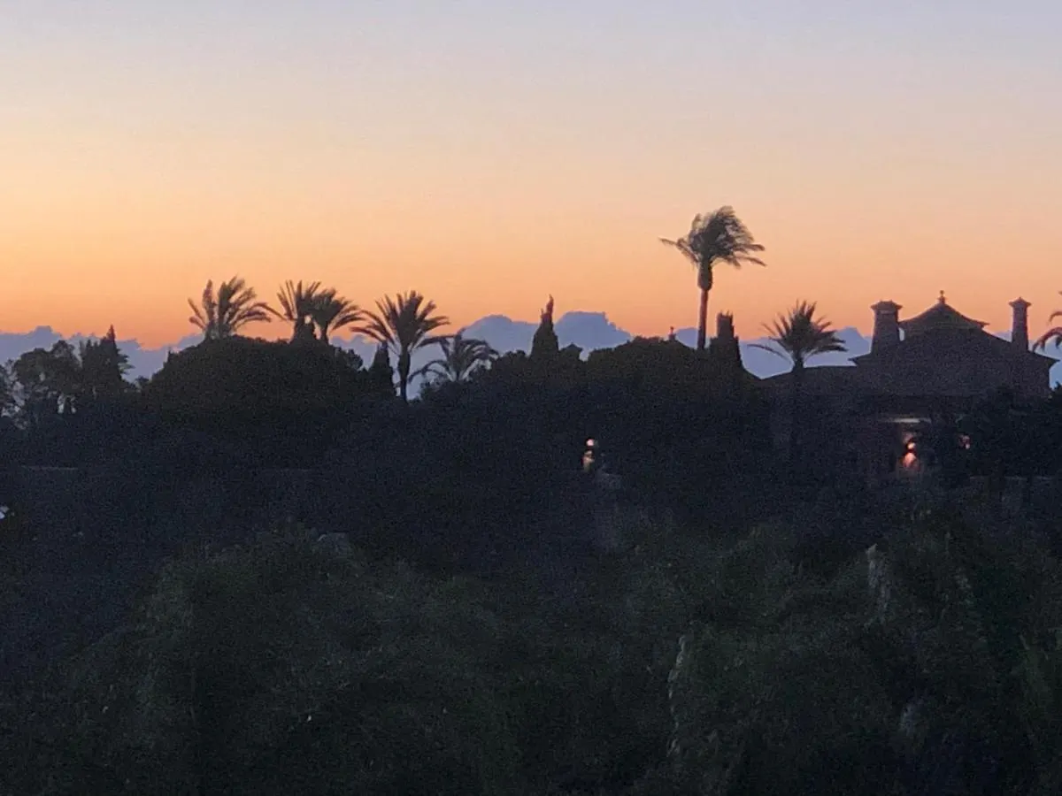 Palm View Guesthouse, Adults Only Luz Bed & Breakfast