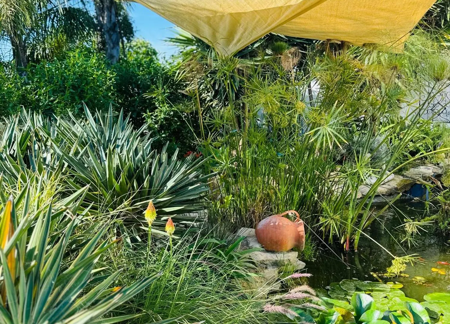 Palm View Guesthouse, Adults Only Luz