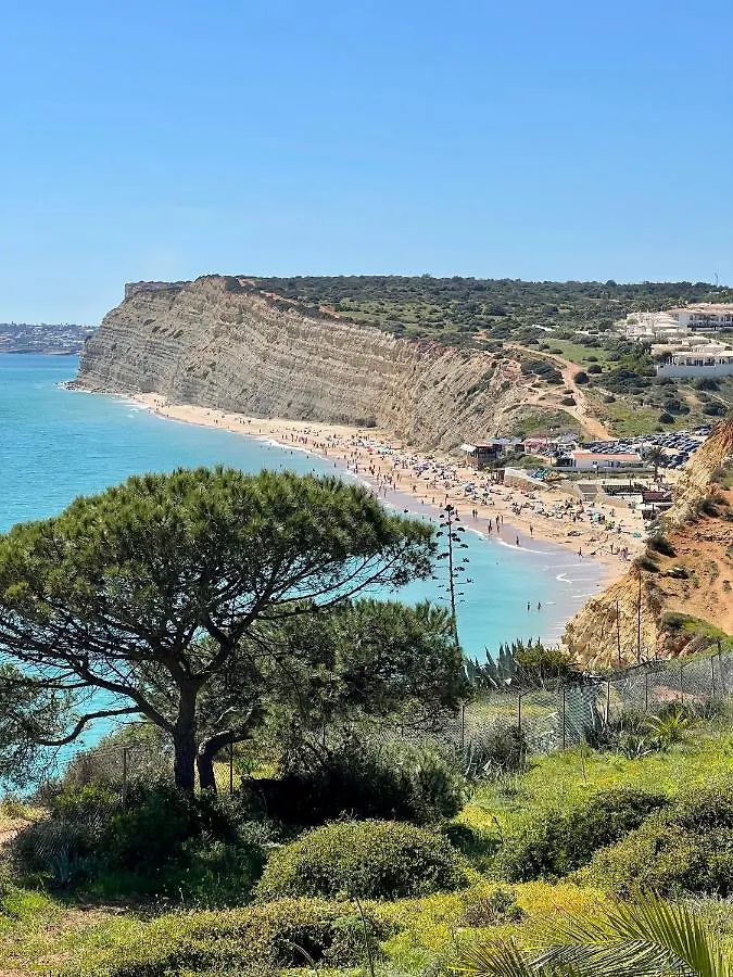 Palm View Guesthouse, Adults Only Praia Da Luz Bed & Breakfast