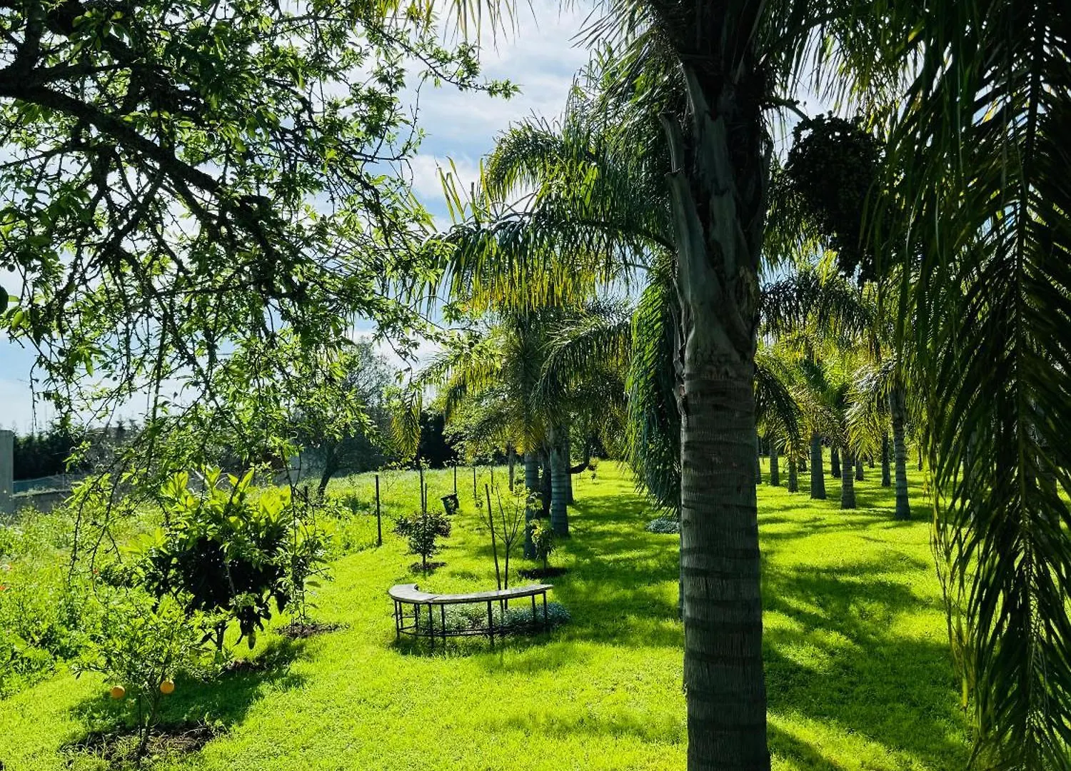 Palm View Guesthouse, Adults Only Luz 0*,